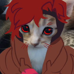 lillekatta avatar