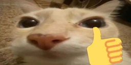 otagOK emote