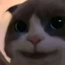 random_cat emoji