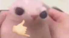 binguswicked emoji