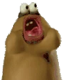nom emote