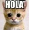 HOLA emoji
