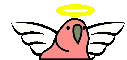 angelParrot emote