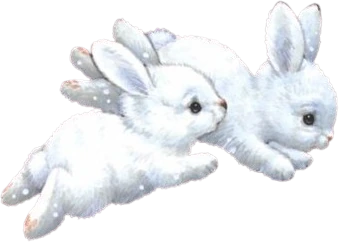 White_bunnies emote