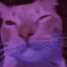 vibecat emote