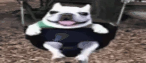 XD emote