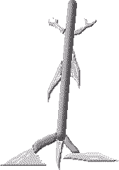 Broom_Mechanic emote