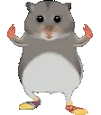 hamsterDance emote