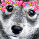Sad_Love_Puppy emote