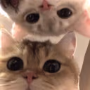 huhu emote