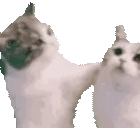 CatAHomie emote