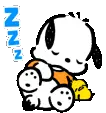 PochaccoSleep emote