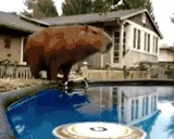JumpingIntoNewAdventures emote