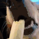 dogEat emote