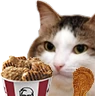kiisu_kfc emote