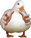 ismine emote