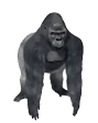 HarambeSpin emote