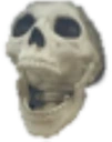 Skull_Lmao emote