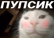 PUPSIK emote
