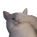 CatFacePalm emote