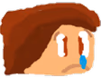 TheFoxSad emote