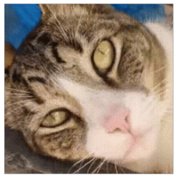 k_z avatar