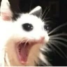 CE_SCREAMMMMM6 emote