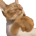 skiP emote