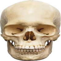 Skull_Reaction emote
