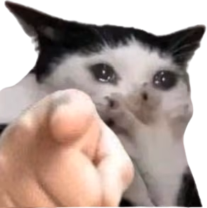 Cat_sob emote