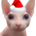 ChristmasCat emoji