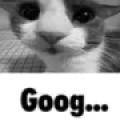 GOOG static emote