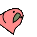 spinningParrot emote