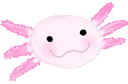 Axolotl emote