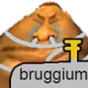 Bruggium emote