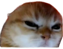 Mad_Cat emote