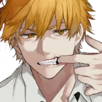 Denji emote