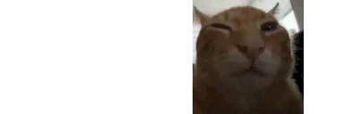 edgebuhg emote