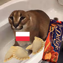 Polish_flopper emote