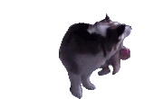 corgosSpin emote