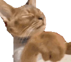 Shoo emote