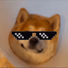 Nusbug emote