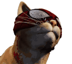 SpiderCatVibe animated emote