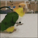 birb emote