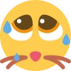 discowd_kitten emote