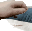 PETTHEBLAHAJ emote