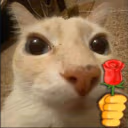 doserosa emote