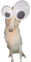 deadahhcuh emote
