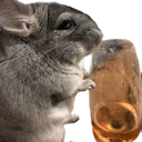 chinchilla_rose emote