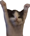 catHELP emote
